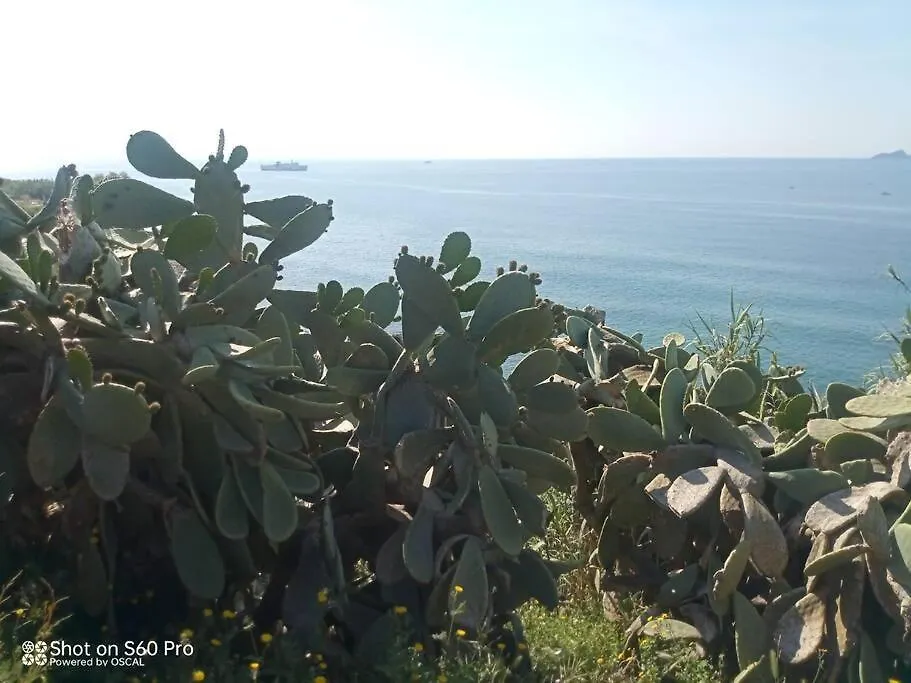 Casa Bettina Apartment Piombino Italy