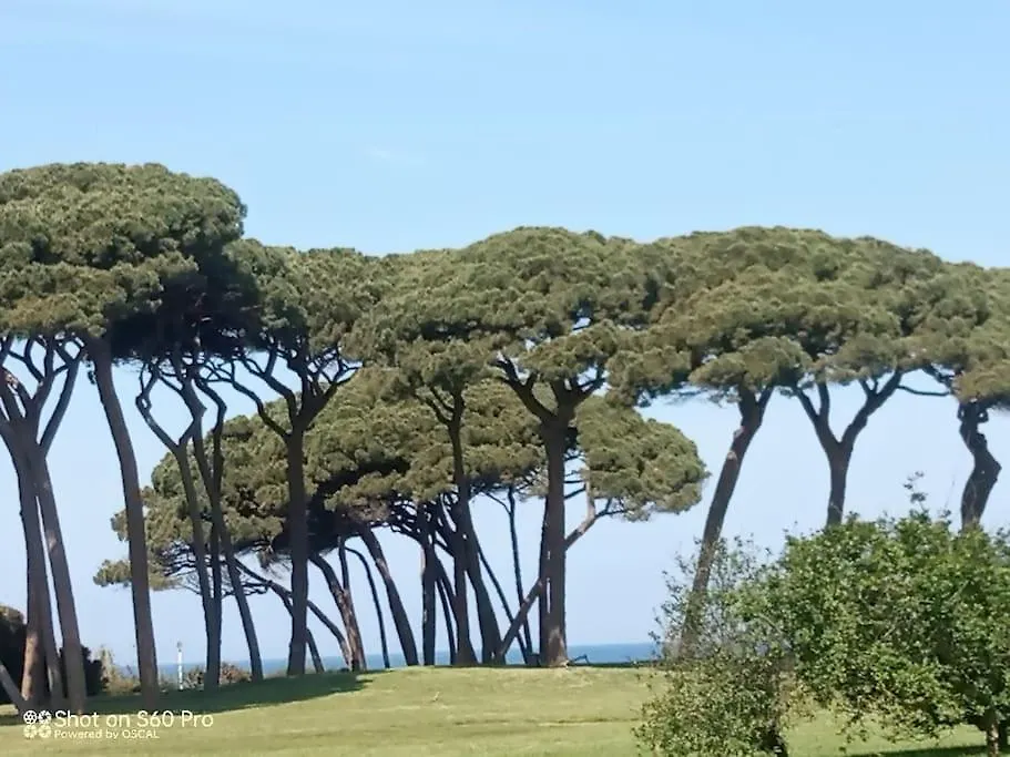 Casa Bettina Apartment Piombino 0*,