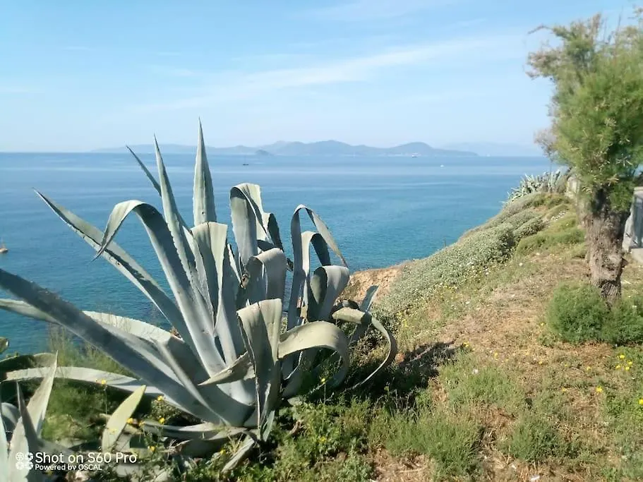 Casa Bettina Apartment Piombino