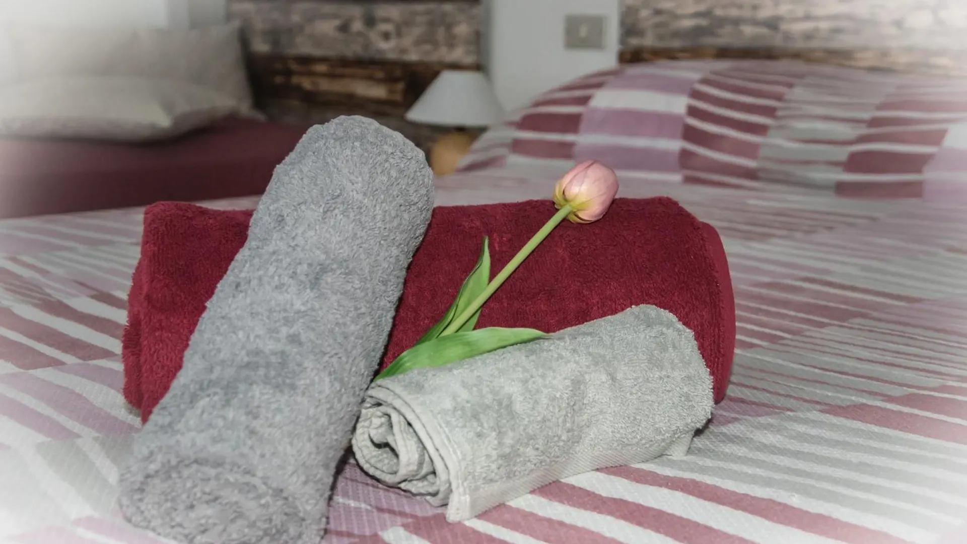 Casa Bettina Apartment Piombino